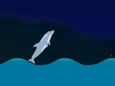 Speel Dolfijnen olympiade 